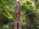 Totem pole head - VANUATU - Chief Roi Mata’s Domain tour; must do day trip from Port Vila