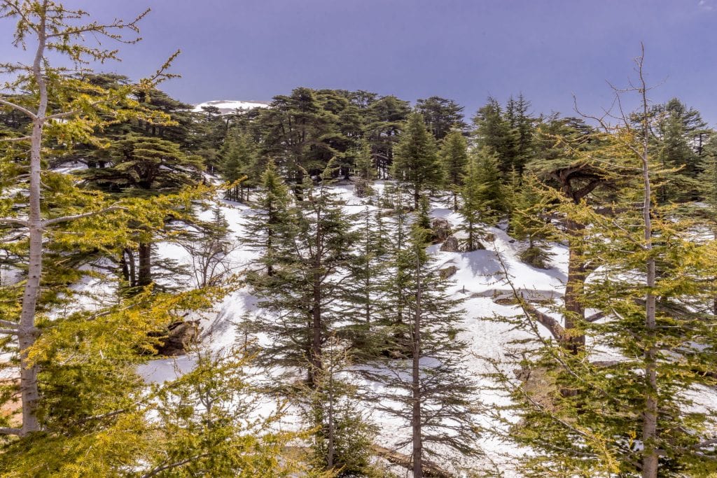 LEBANON - The most complete Lebanon itinerary: All highlights in 10 days (or 2 weeks)
