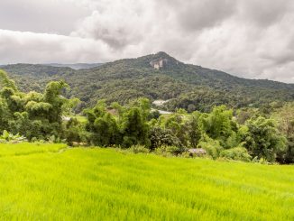 Rice field Hmong village Kaew Mae Pan Nature Trail - THAILAND - Doi Inthanon National Park day trip from Chiang Mai