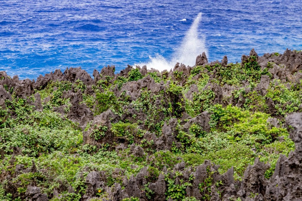 Togo chasm - NIUE - The perfect Niue itinerary for 5 days / 1 week on the Rock