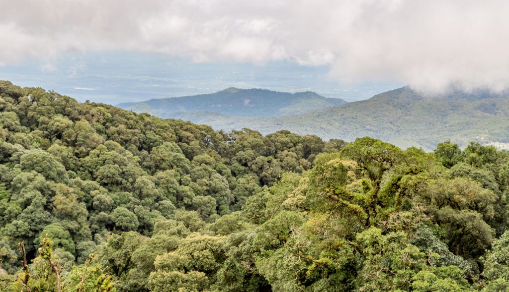 Tree top views Ang Ka Nature Trail - THAILAND - Doi Inthanon National Park day trip from Chiang Mai