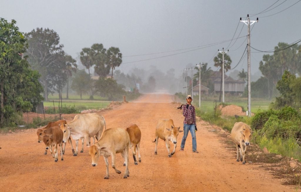 Road block in the rain - CAMBODIA - Preah Khan de Kompong Svay day trip from Siem Reap, a REAL jungle temple