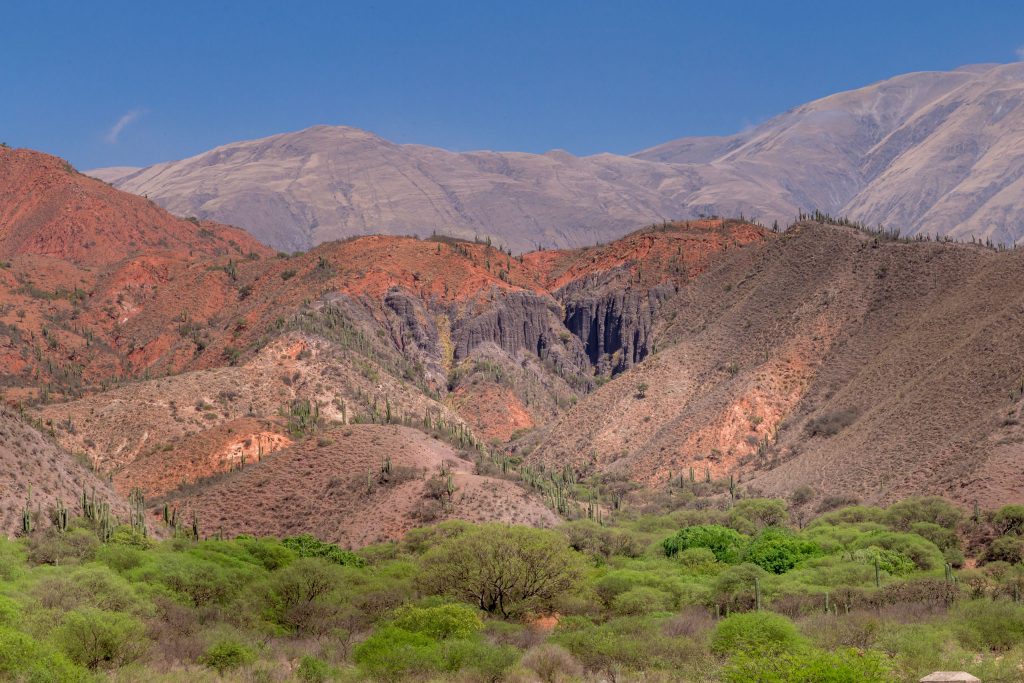 Route 40 scenery - ARGENTINA - Salta to Cafayate by car: The scenic route 40