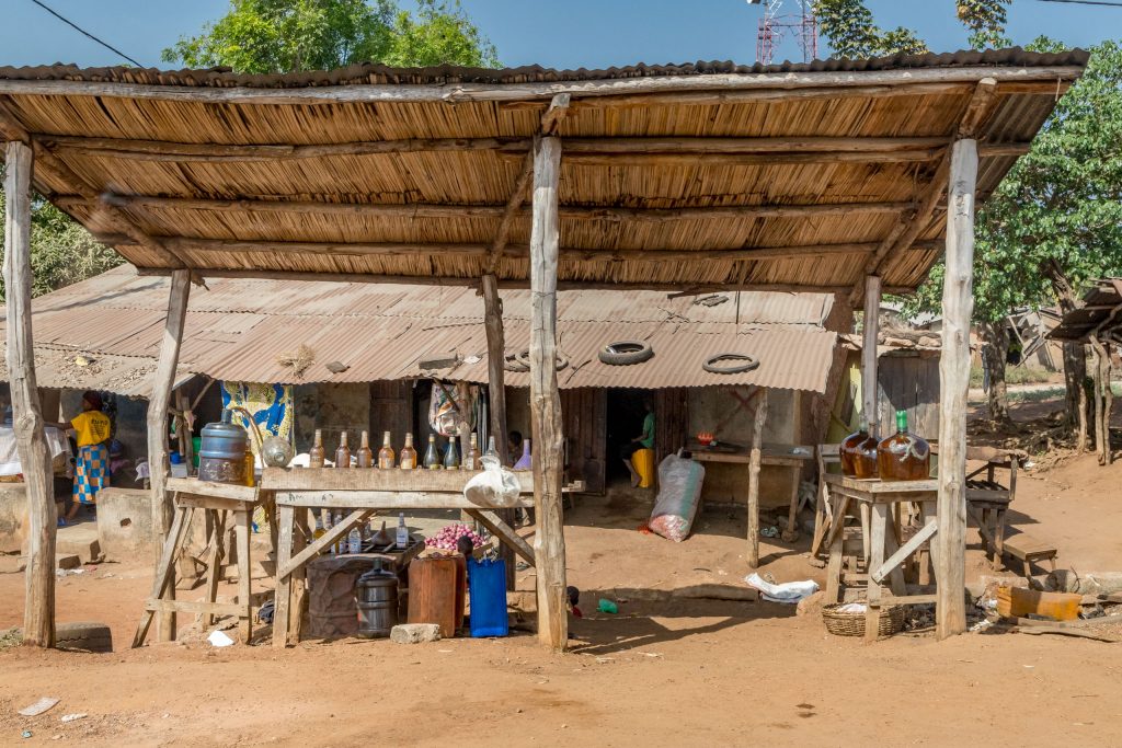 Street seller gasoline - BENIN - Ultimate 2-week Benin itinerary: Culture, nature safari, voodoo & more