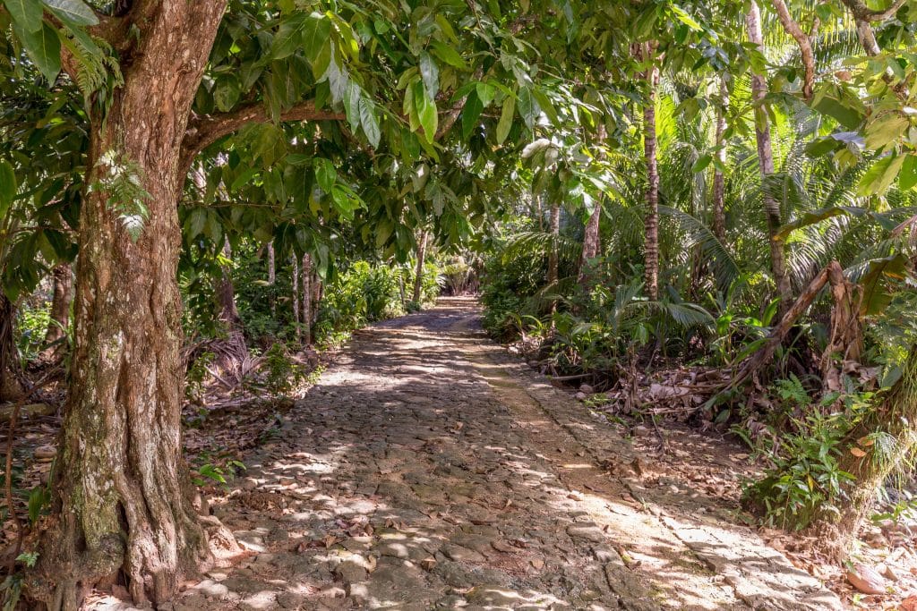 Traditional stone road - MICRONESIA FSM - Things to do on Yap island tour & how to get there