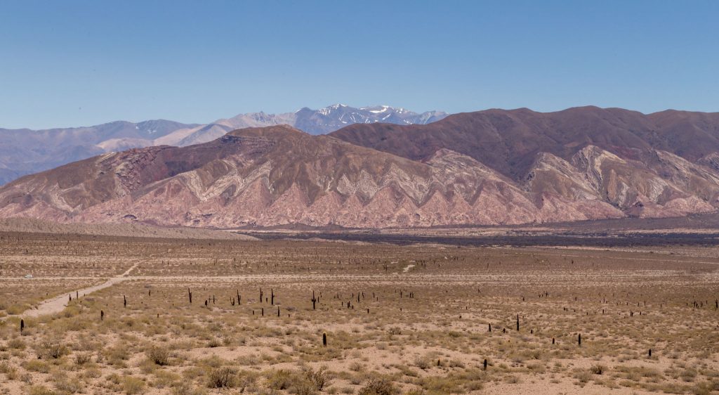 Valle Calchaqui Los Cardones National Park- ARGENTINA - Salta to Cafayate by car: The scenic route 40