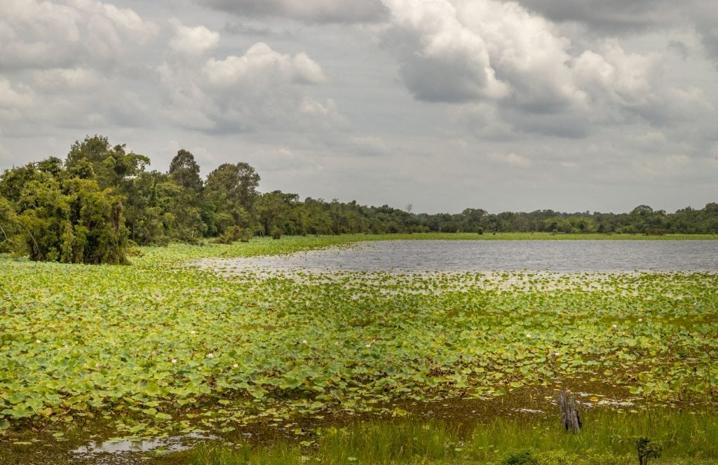 Water baray - CAMBODIA - Preah Khan de Kompong Svay day trip from Siem Reap, a REAL jungle temple