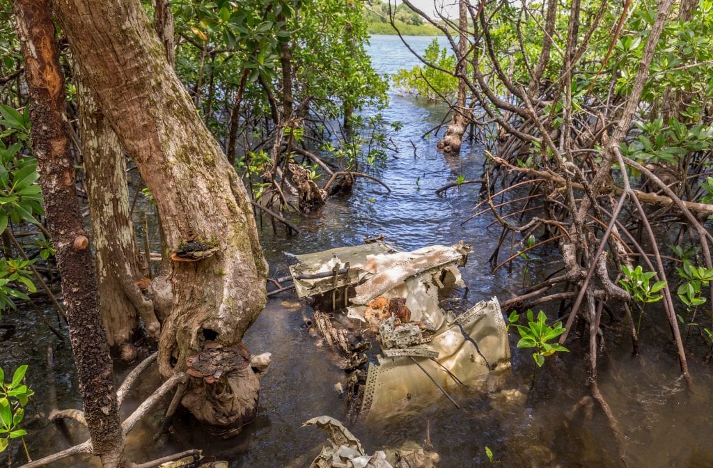 WWII Corsair wreck - MICRONESIA FSM - Things to do on Yap island tour & how to get there