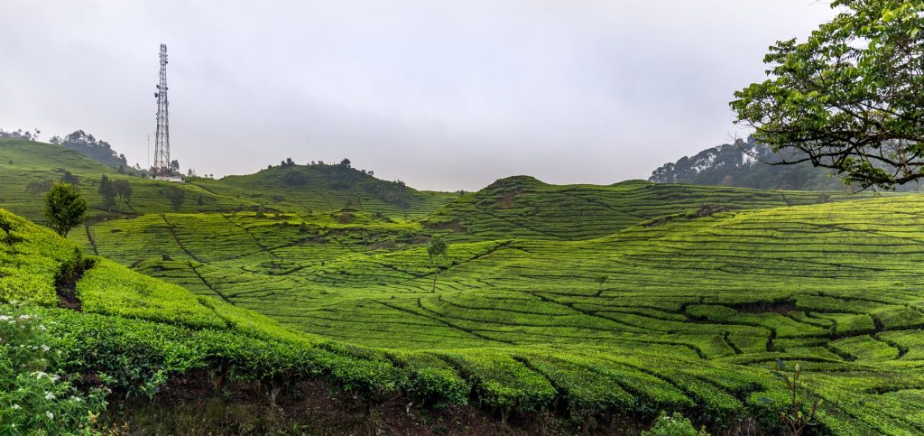 INDONESIA - Alien landscapes at Kawah Putih / White Crater as a day trip from Bandung