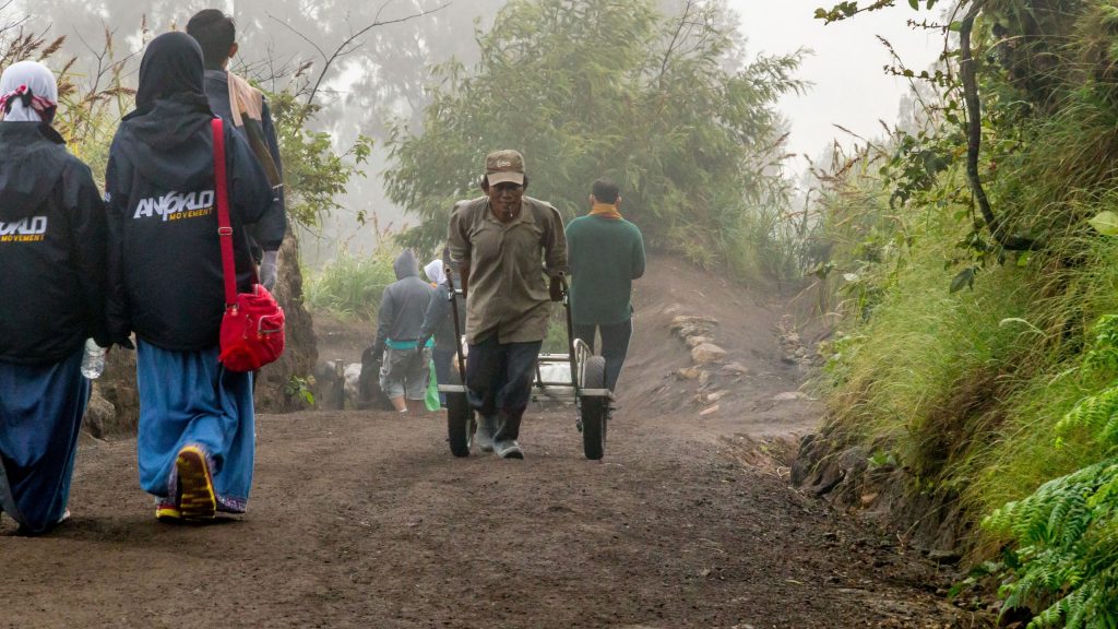 INDONESIA - Hiking the active & toxic Ijen volcano with its sulfur miners and blue fire