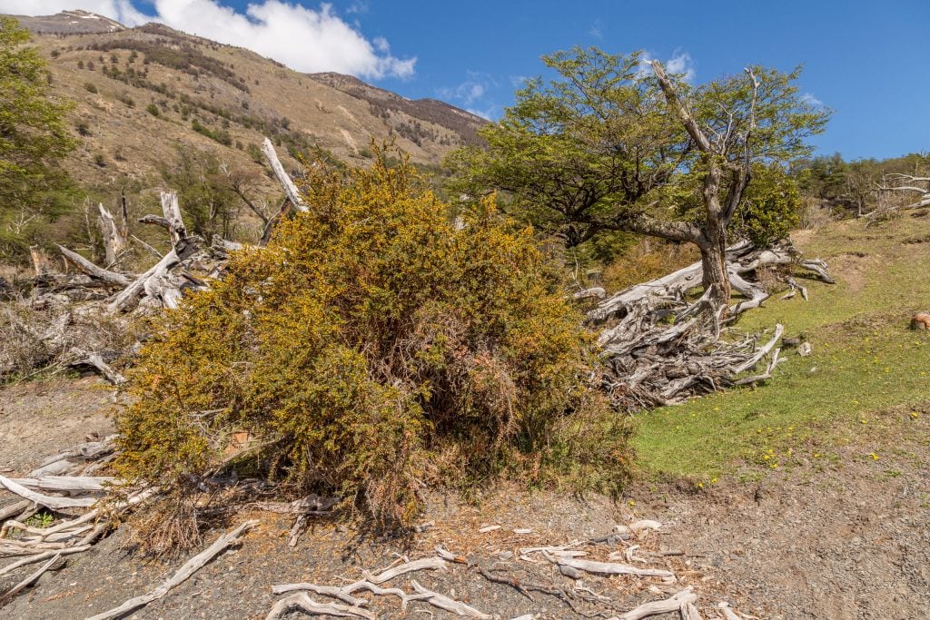 ARGENTINA - Sailing Patagonian glacier lakes while enjoying a luxury five-star lunch