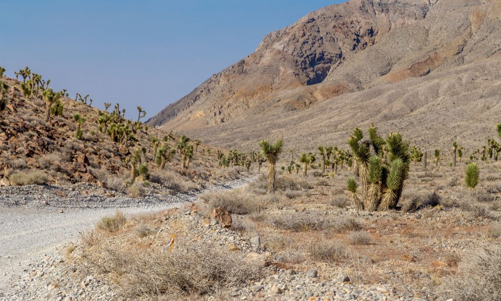 USA - Driving off road in the Death Valley: Titus Canyon & Racetrack Playa
