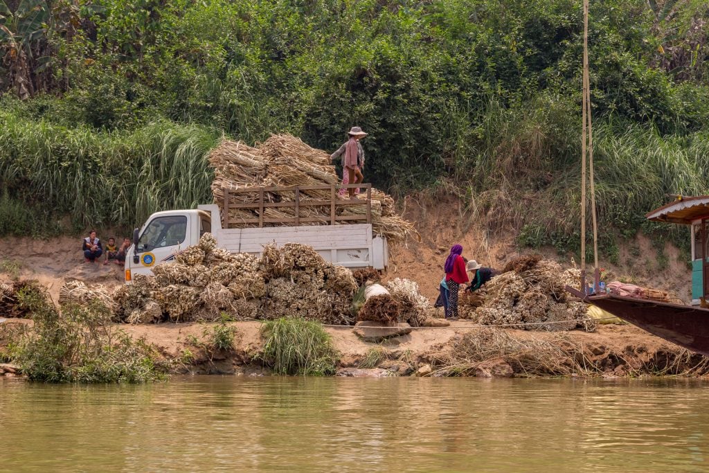 LAOS - Day trip to Pak Ou Caves near Luang Prabang by private boat