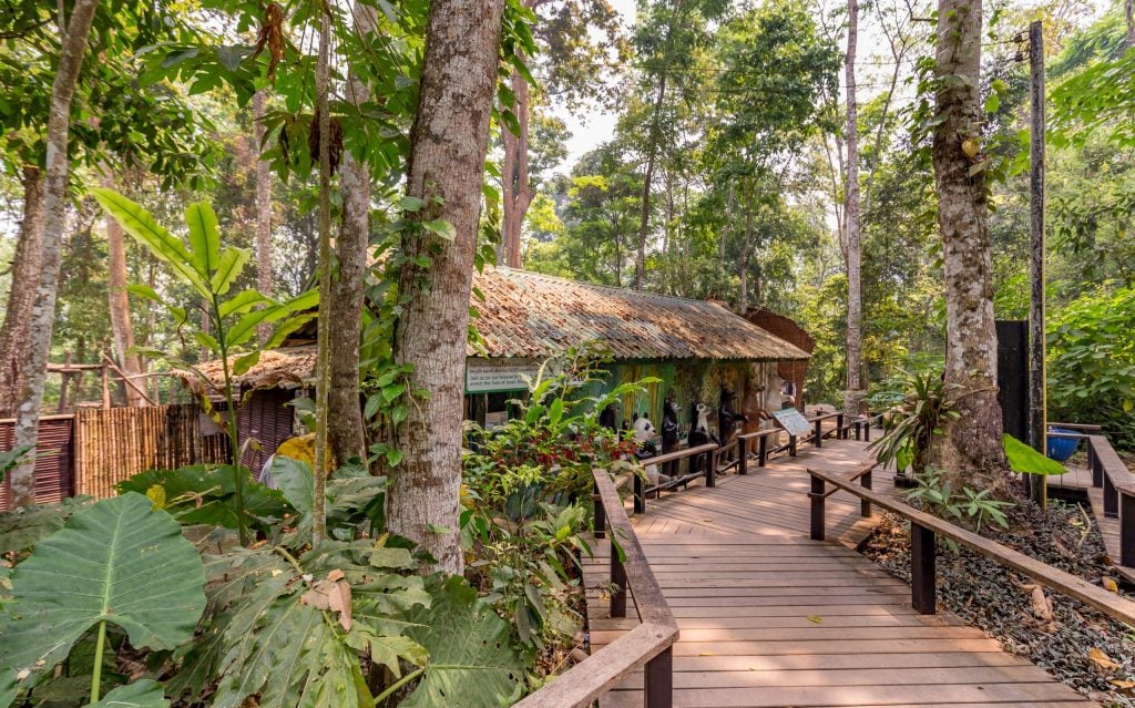 LAOS – Country side and the Kuang Si Falls as a day trip from Luang Prabang