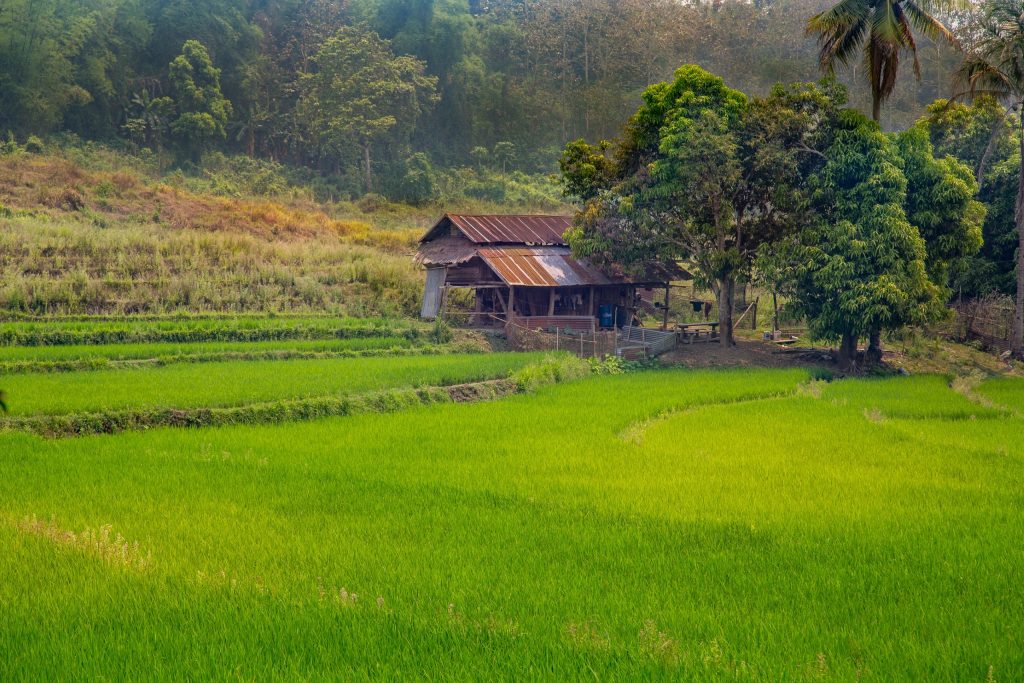 LAOS – Country side and the Kuang Si Falls as a day trip from Luang Prabang