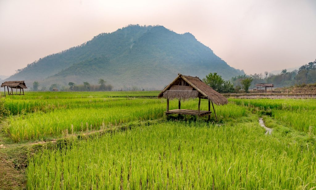 LAOS – Country side and the Kuang Si Falls as a day trip from Luang Prabang