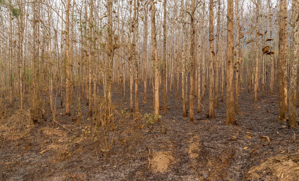 LAOS – Country side and the Kuang Si Falls as a day trip from Luang Prabang