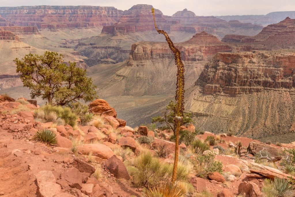 USA - Grand Canyon day hike: South Kaibab Trail to Skeleton Point