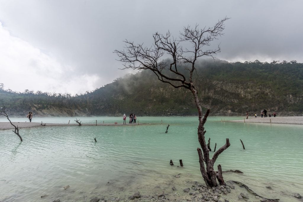 INDONESIA - Alien landscapes at Kawah Putih / White Crater as a day trip from Bandung