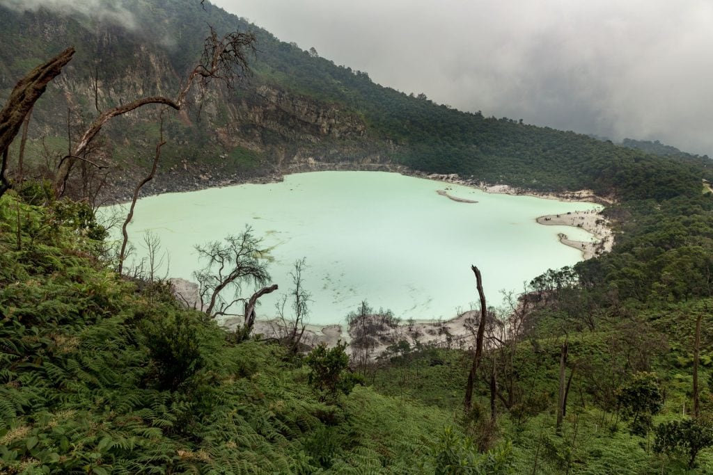 INDONESIA - Alien landscapes at Kawah Putih / White Crater as a day trip from Bandung