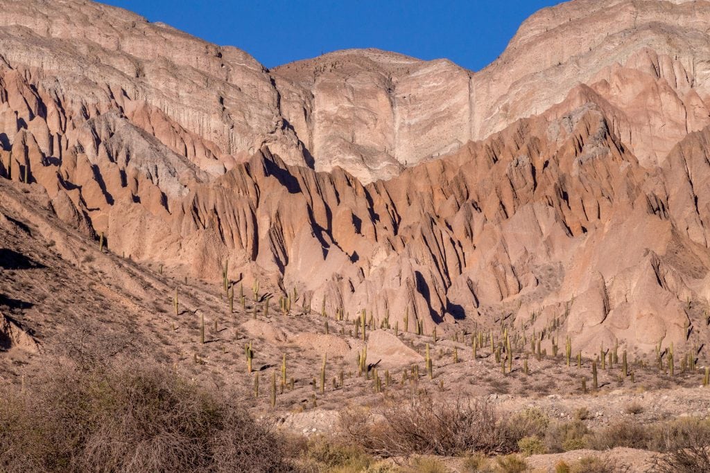Andes Mountain Cactus Hill - ARGENTINA - Train to the Clouds; a must-do ride in the Andes near Salta