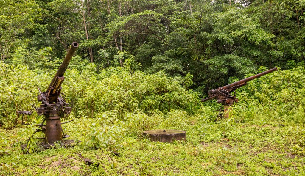 Anti air canon - SOLOMON ISLANDS - Skull Island Munda & New Georgia WWII history day trip