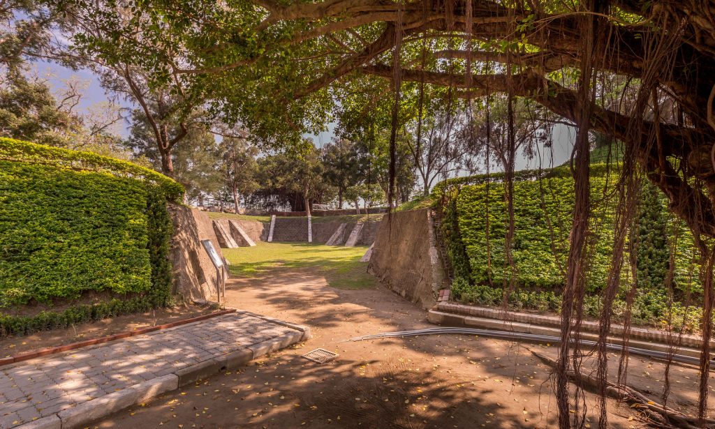 Banyan Tree Eternal Golden Castle - TAIWAN - Tainan day trip; a perfect itinerary including all must-see places