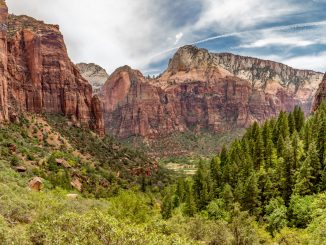 Canyon view from Emerald Pools - USA - Zion National Park day trip: The must see places and must do hikes