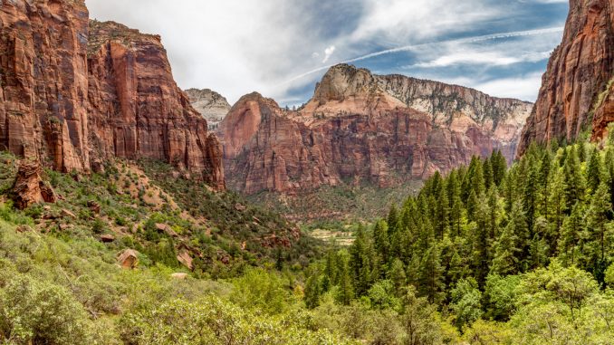 Canyon view from Emerald Pools - USA - Zion National Park day trip: The must see places and must do hikes