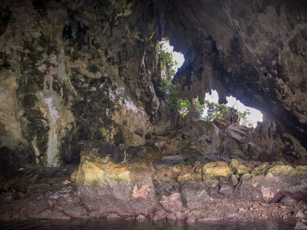 Cave Bats - PALAU - Exploring Palau's Rock Islands by kayak & snorkeling in a hidden lake