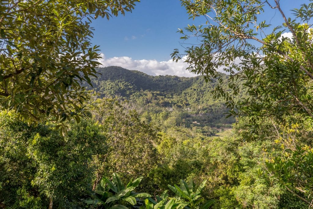 Rainforest View - CHINA - Yanoda and Binglanggu Li & Miao: 2 must see parks near Sanya