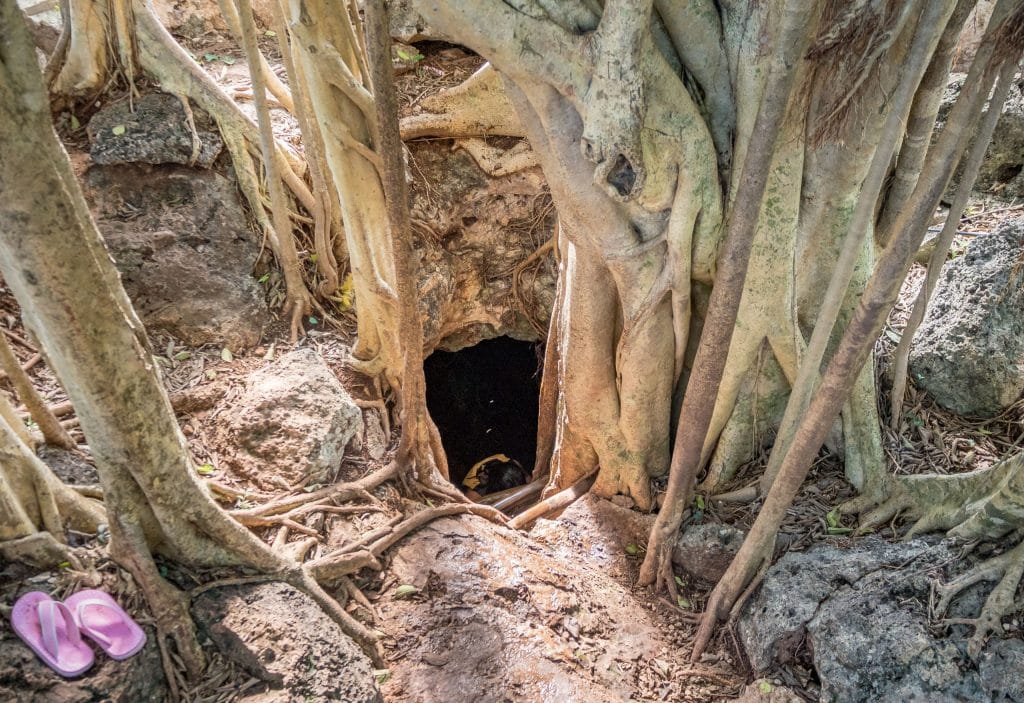 Cuzama Cenote Bolonchojol Entrance - MEXICO - Best cenotes in Yucatan