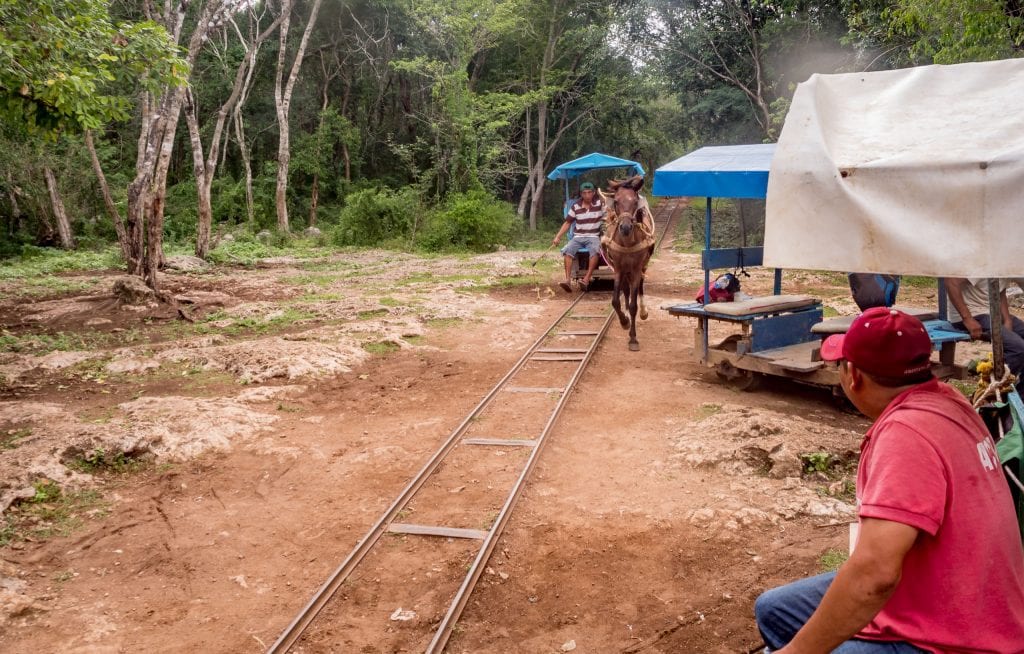 Cuzama Cenote horse cart passing - MEXICO - Best cenotes in Yucatan