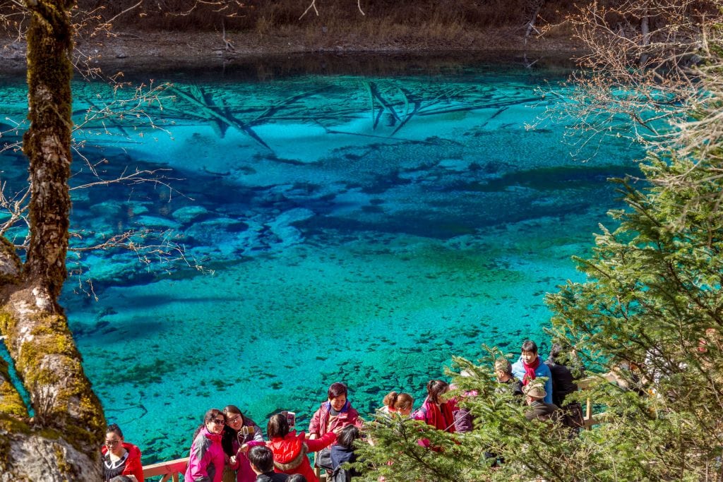 Five Color Pond close up - CHINA - Jiuzhaigou Nature Park guide: all must-see spots in a day