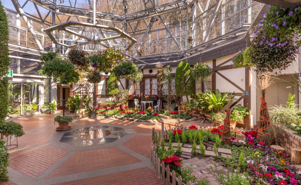 Flower green house - JAPAN - 1-day trip to Kobe from Osaka or Kyoto: What to do & where to eat Kobe steak