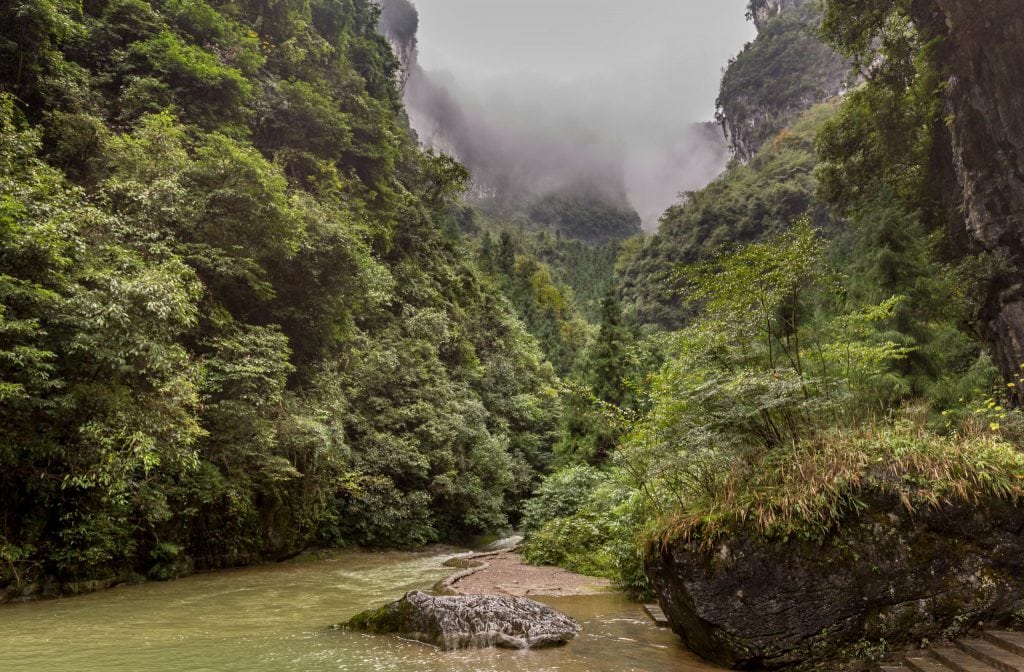 Gorge vegetation Three Natural Bridges - CHINA – Wulong Karst National Park day trip from Chongqing