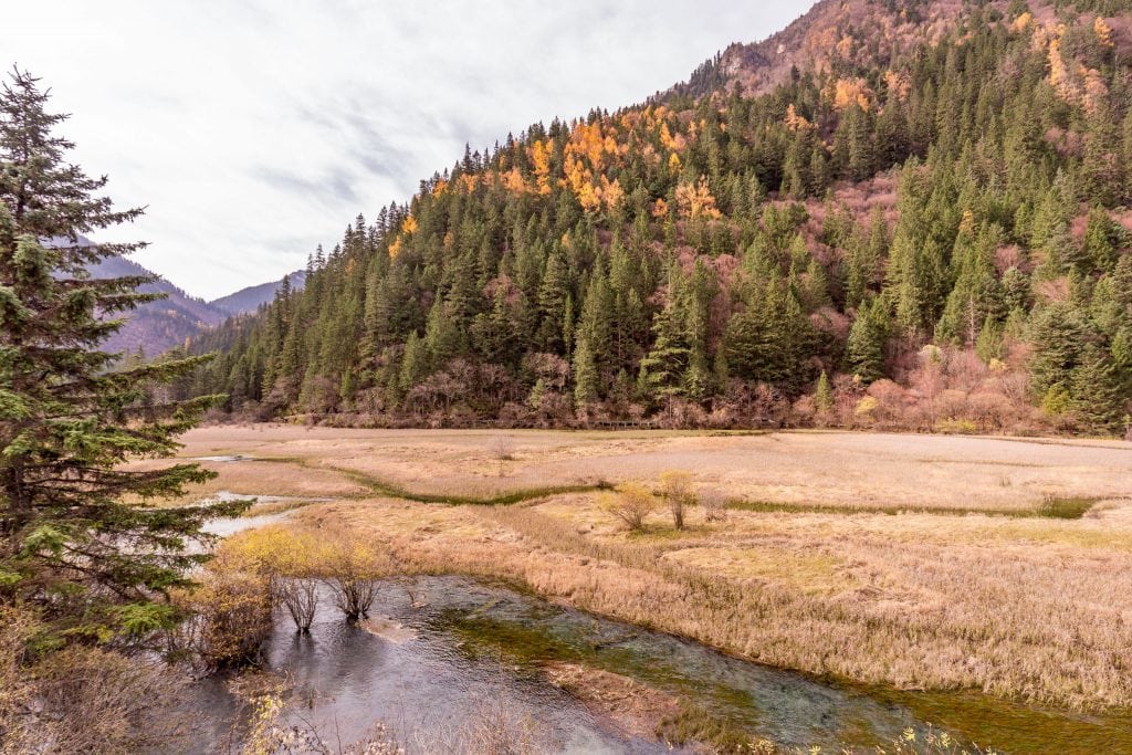 Gras Lake - CHINA - Jiuzhaigou Nature Park guide: all must-see spots in a day