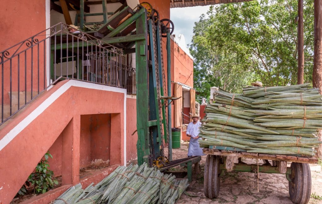 Henequen processing plant - MEXICO - Henequen plantation Sotuta de Peón