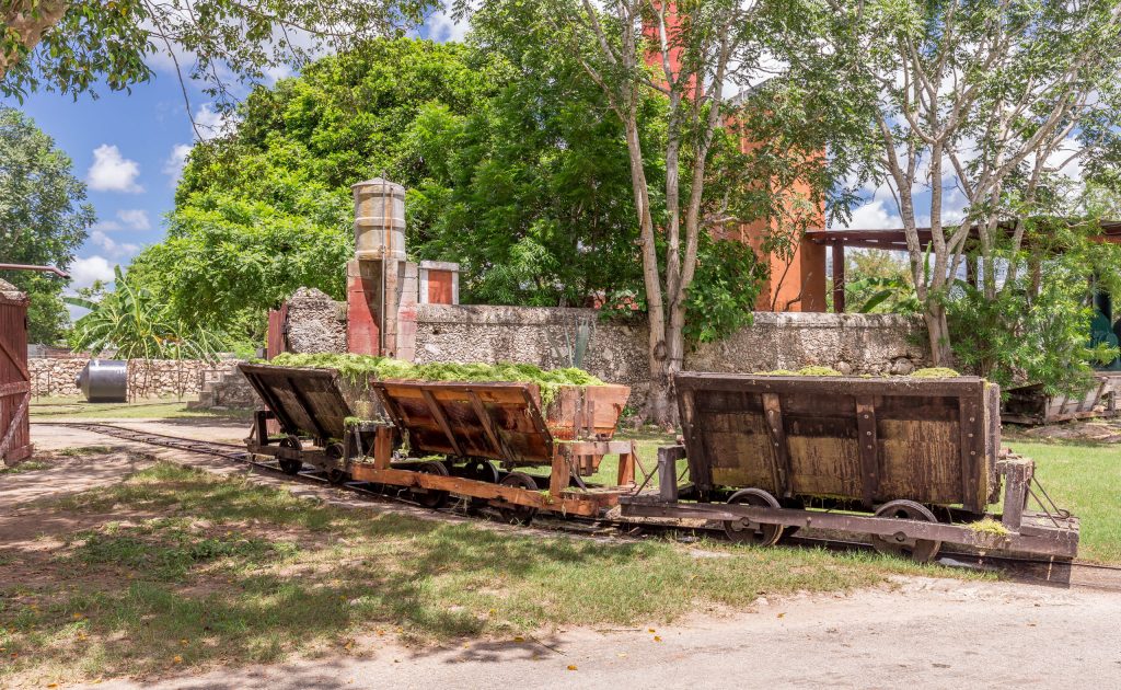 Henequen processing pulp leftover - MEXICO - Henequen plantation Sotuta de Peón