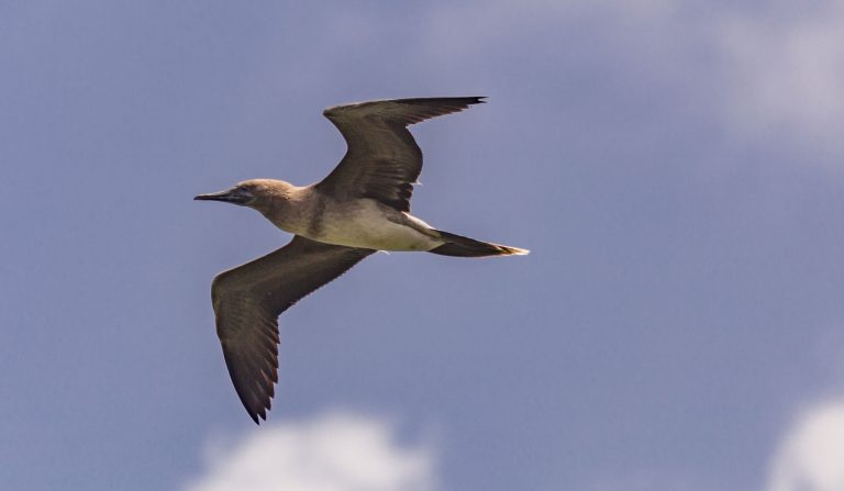 MARIANA ISLANDS - Must see places on a Rota island overnight trip; the ...