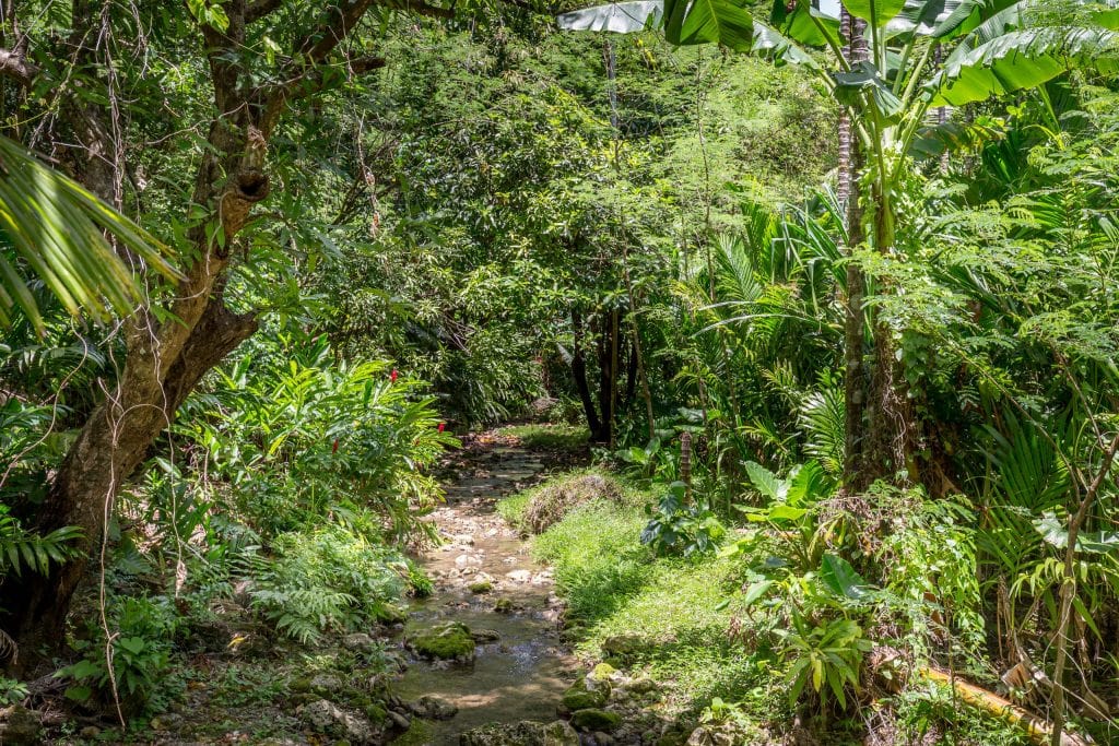 Jungle water stream - MARIANA ISLANDS - Must see places on a Rota island overnight trip; the unspoiled marianas