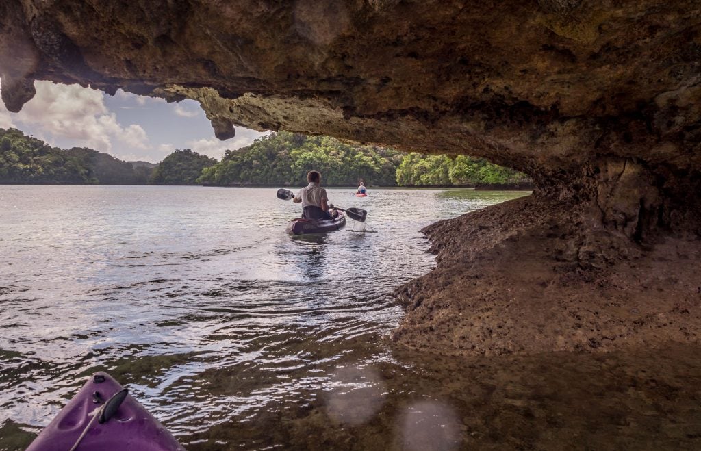 Cave Bats - PALAU - Exploring Palau's Rock Islands by kayak & snorkeling in a hidden lake