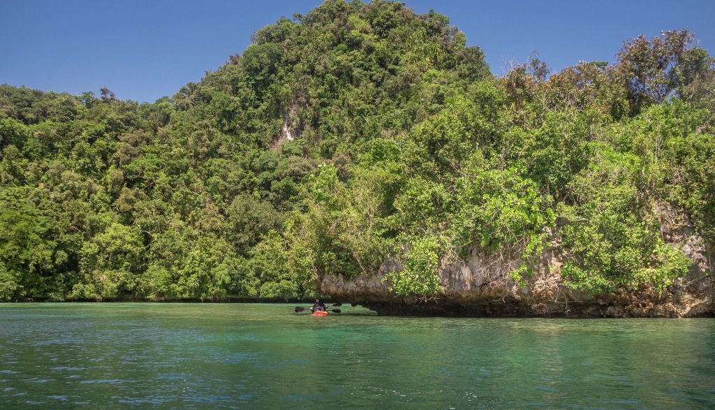 Rock Islands - PALAU - Exploring Palau's Rock Islands by kayak & snorkeling in a hidden lake