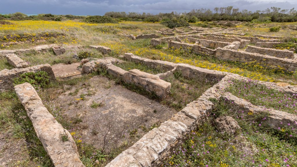 Kerkouane Punic City city house foundations - TUNISIA - Kerkouane Punic town day trip from Tunis or Sousse