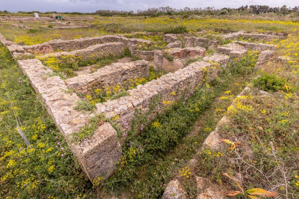 Kerkouane Punic City house of the priest - TUNISIA - Kerkouane Punic town day trip from Tunis or Sousse