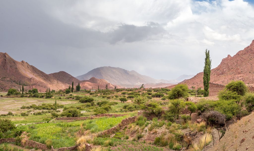 Laguna Chacna high andes - BOLIVIA - Sucro to Potisi and to Uyuni: Pulacayo is a must stop (and more)