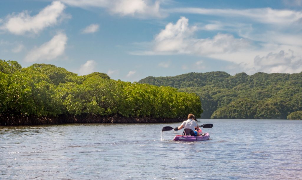Rock Islands - PALAU - Exploring Palau's Rock Islands by kayak & snorkeling in a hidden lake