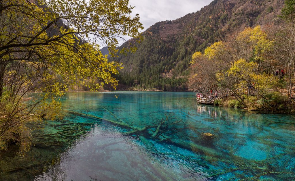 Multi Color Five Flower Lake - CHINA - Jiuzhaigou Nature Park guide: all must-see spots in a day