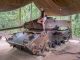 Old Military Tank - VIETNAM - Must do day trip: Cu Chi tunnels and Cao Dai Temple from Ho Chi Min City