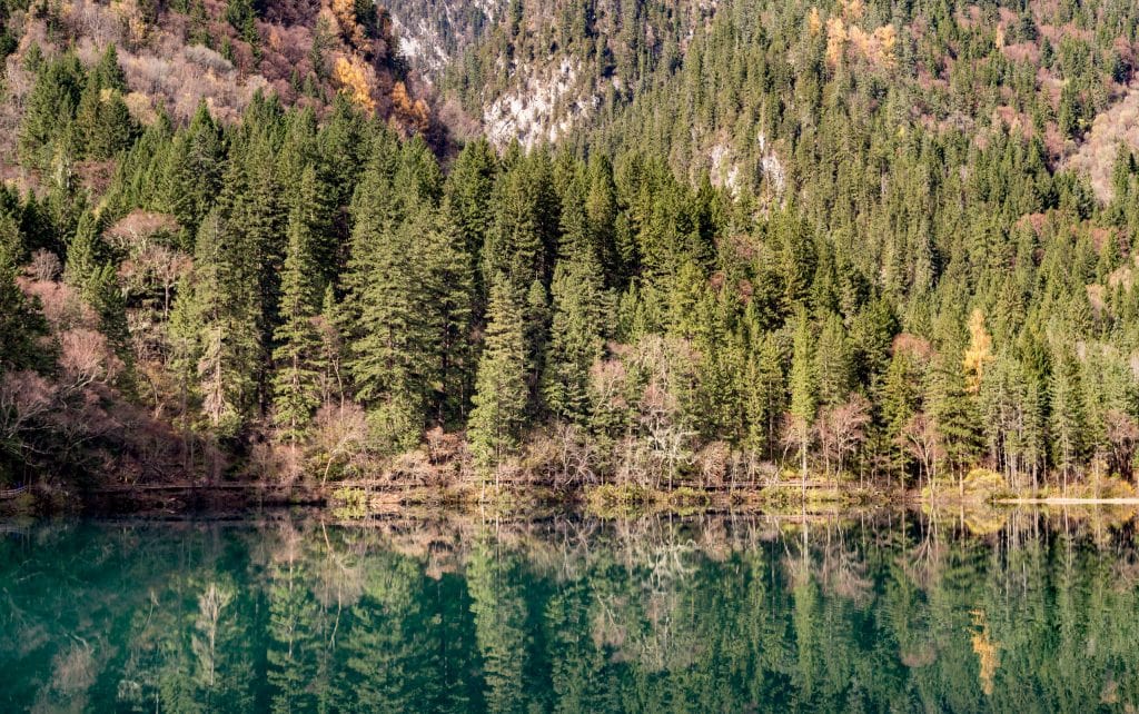Panda Lake Mirror - CHINA - Jiuzhaigou Nature Park guide: all must-see spots in a day
